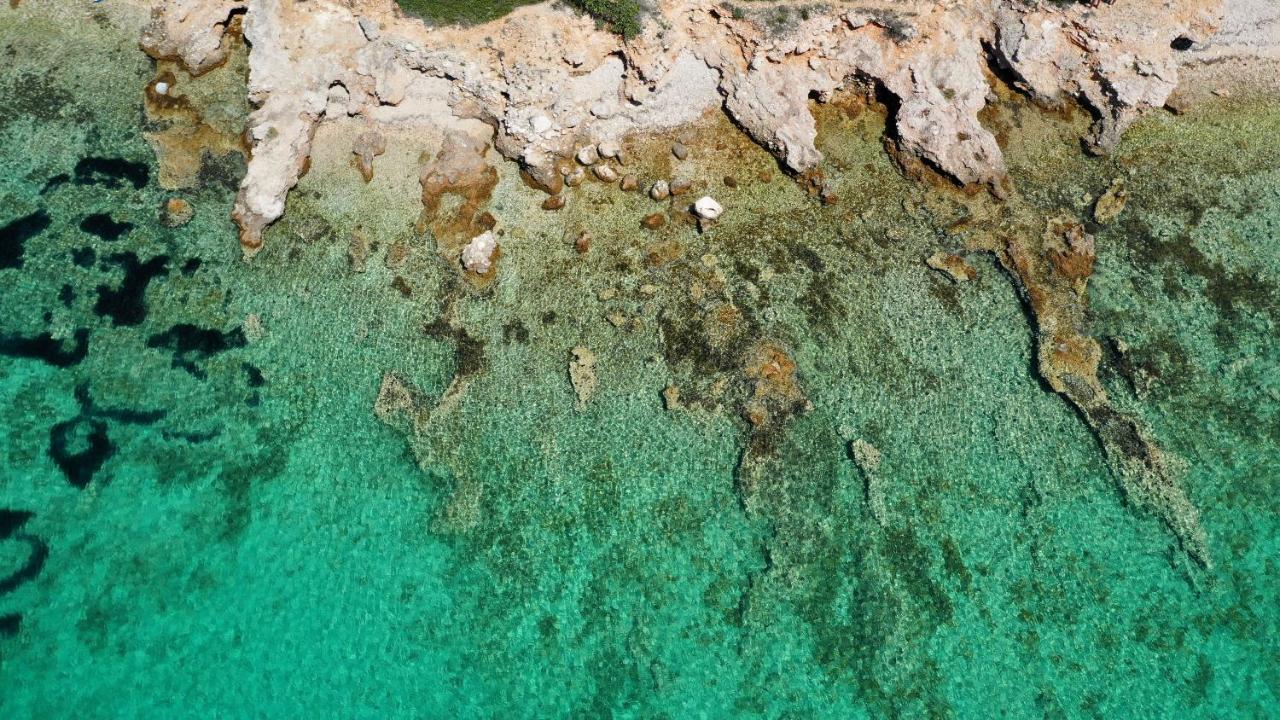 House Mirta Villa Pašman Dış mekan fotoğraf